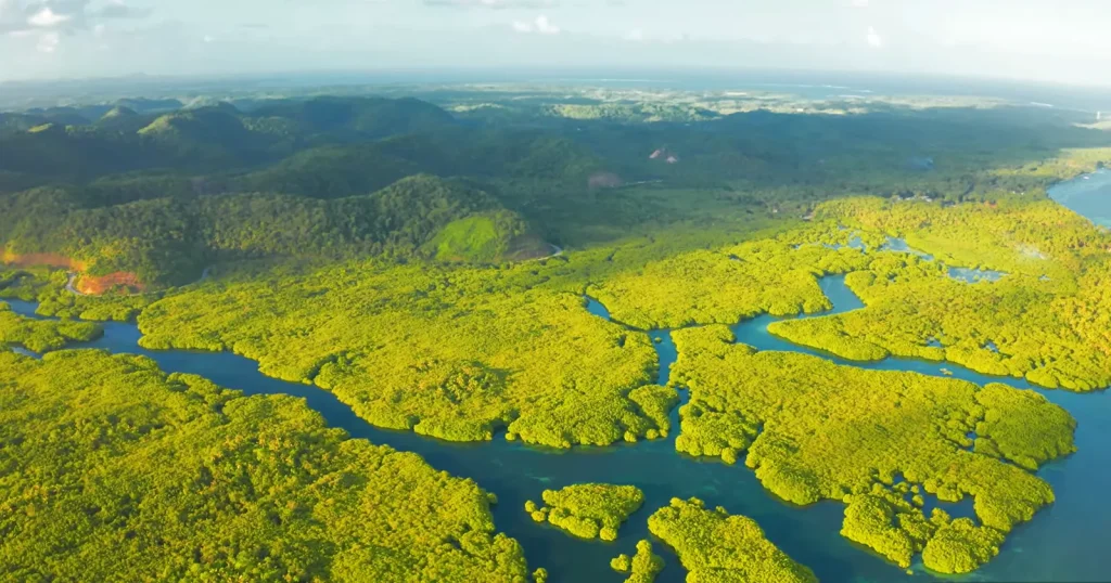 Verzweigte Flusslandschaft aus der Luft als Sinnbild für zwei Wege in die Therapie