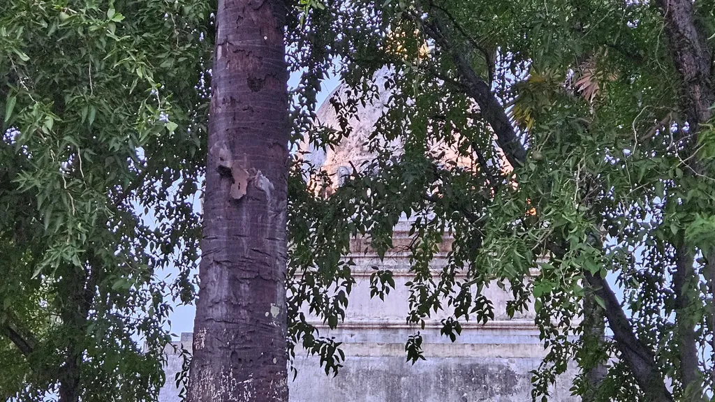 Baumstamm und Zweige vor einer weißen Mauer in der Dämmerung