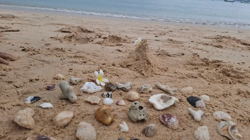 Muscheln und Korallenstücke im Sand, dahinter das Meer