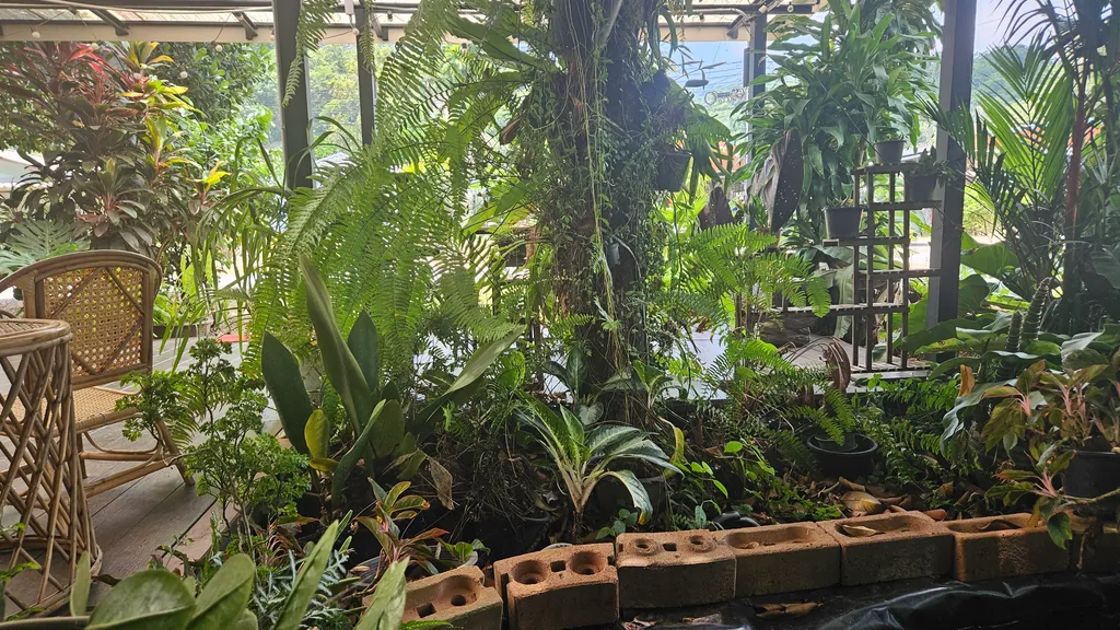 Wintergarten voller Pflanzen mit einem Korbstuhl